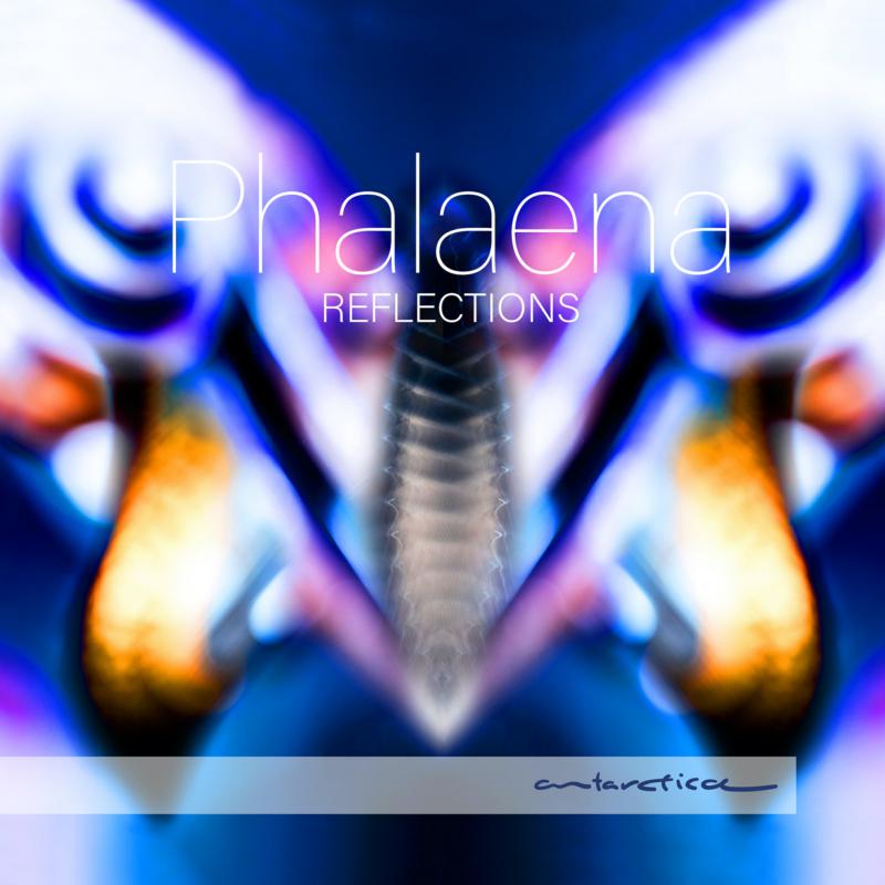 Picture of Phalaena - Reflections