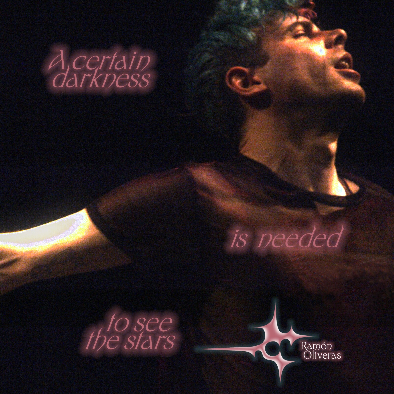 Picture of Ramon Oliveras - A Certain Darkness is Needed to See the Stars