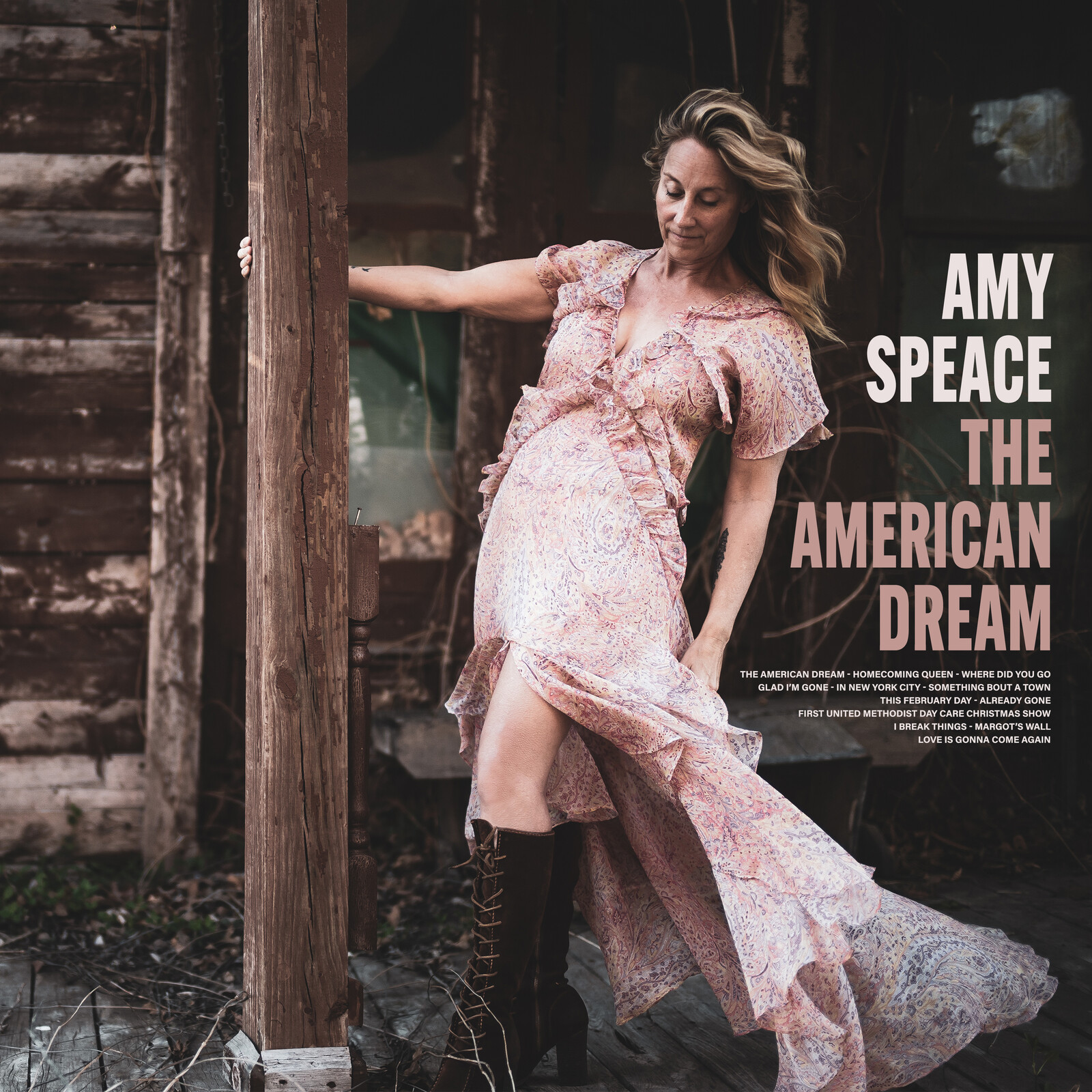 Picture of Amy Speace - The American Dream