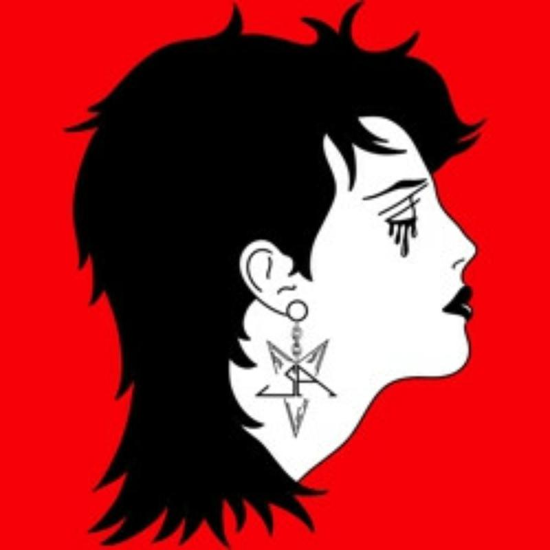 Picture of Stranger Attractor - Stranger Attractor