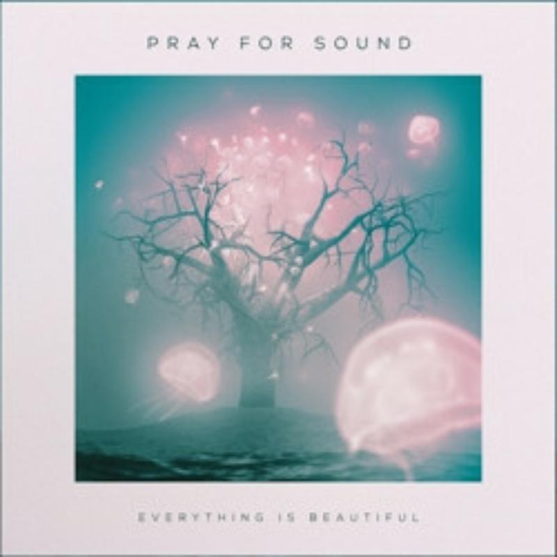 Picture of Pray For Sound - Everything Is Beautiful