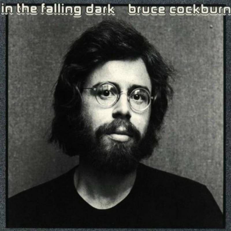 Picture of Bruce Cockburn - In The Falling Dark