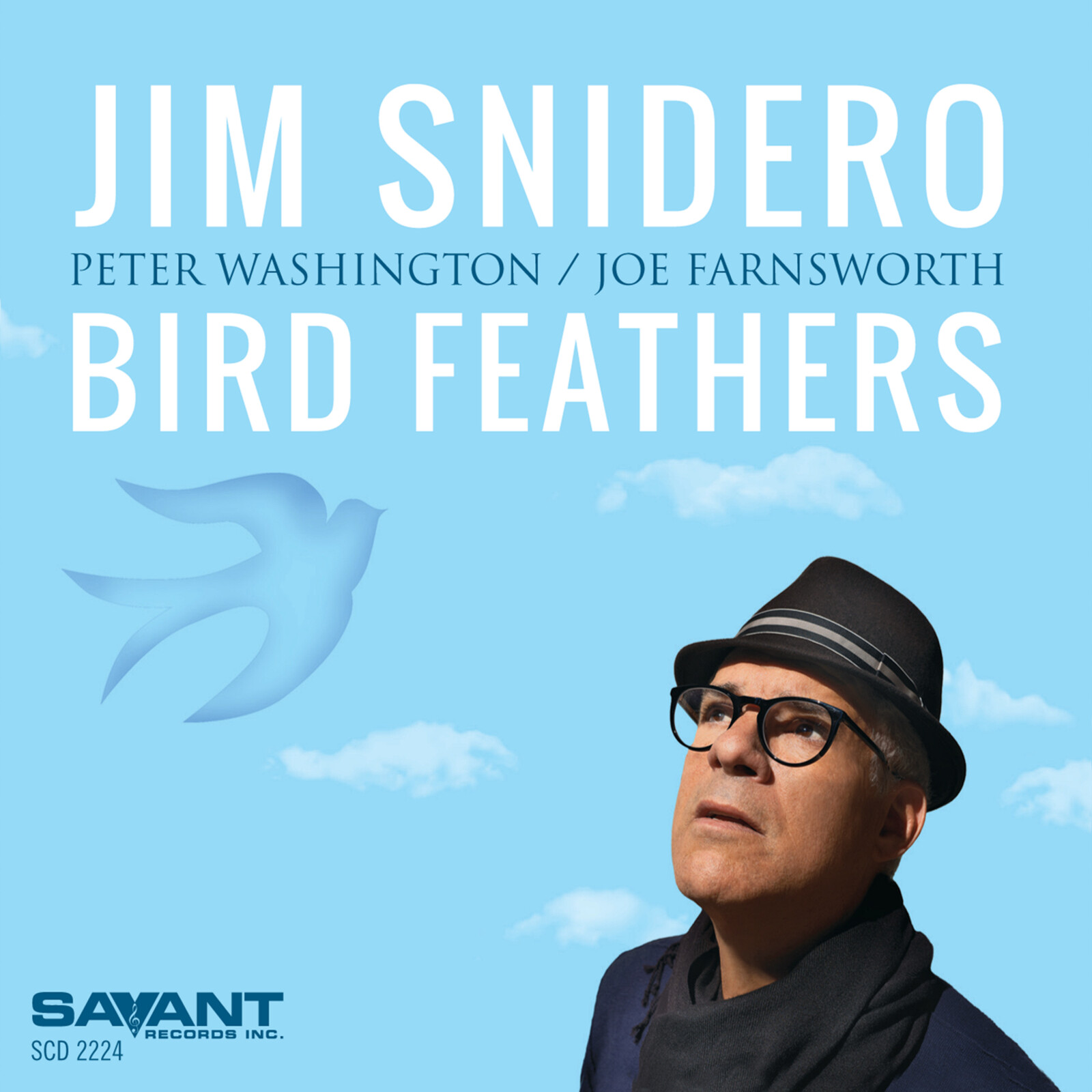Picture of Jim Snidero - Bird Feathers