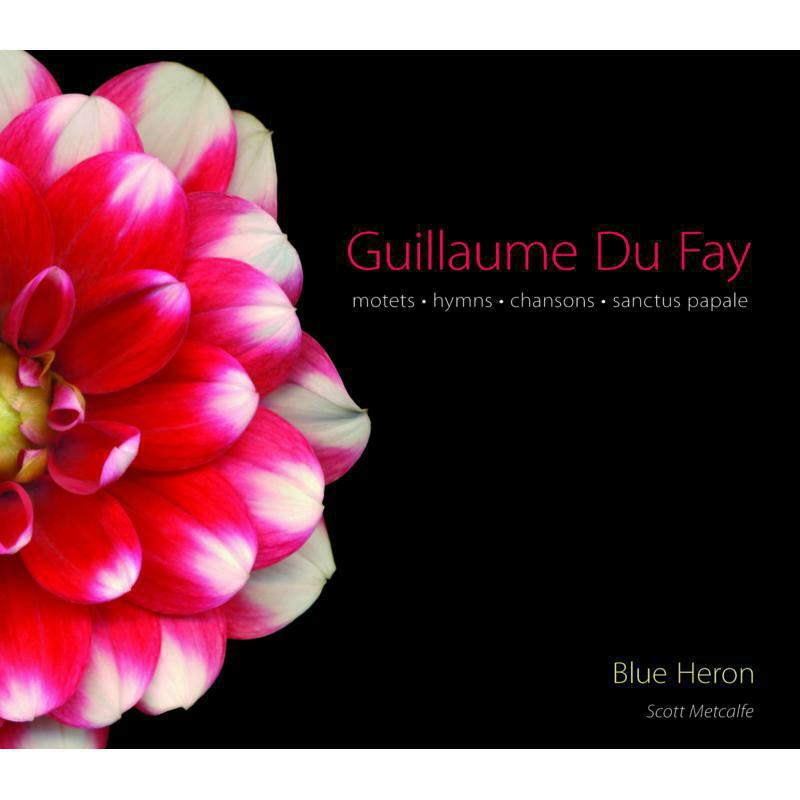 Picture of Blue Heron Choir/Metcalfe - Du Fay:Motets/Hymns/Chansons