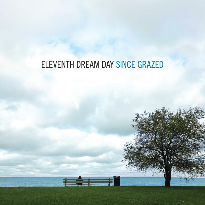 Picture of Eleventh Dream Day - Since Grazed