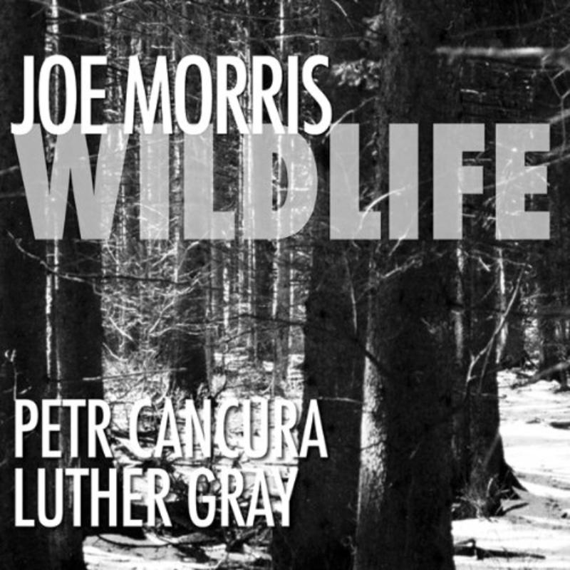 Picture of Joe Morris - Wildlife