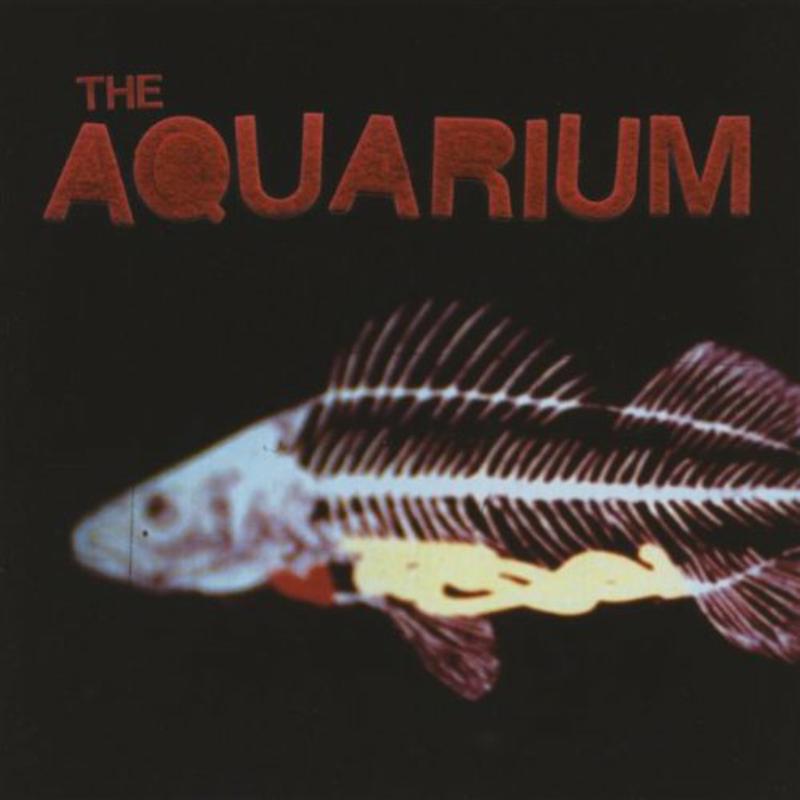 Picture of The Aquarium - The Aquarium
