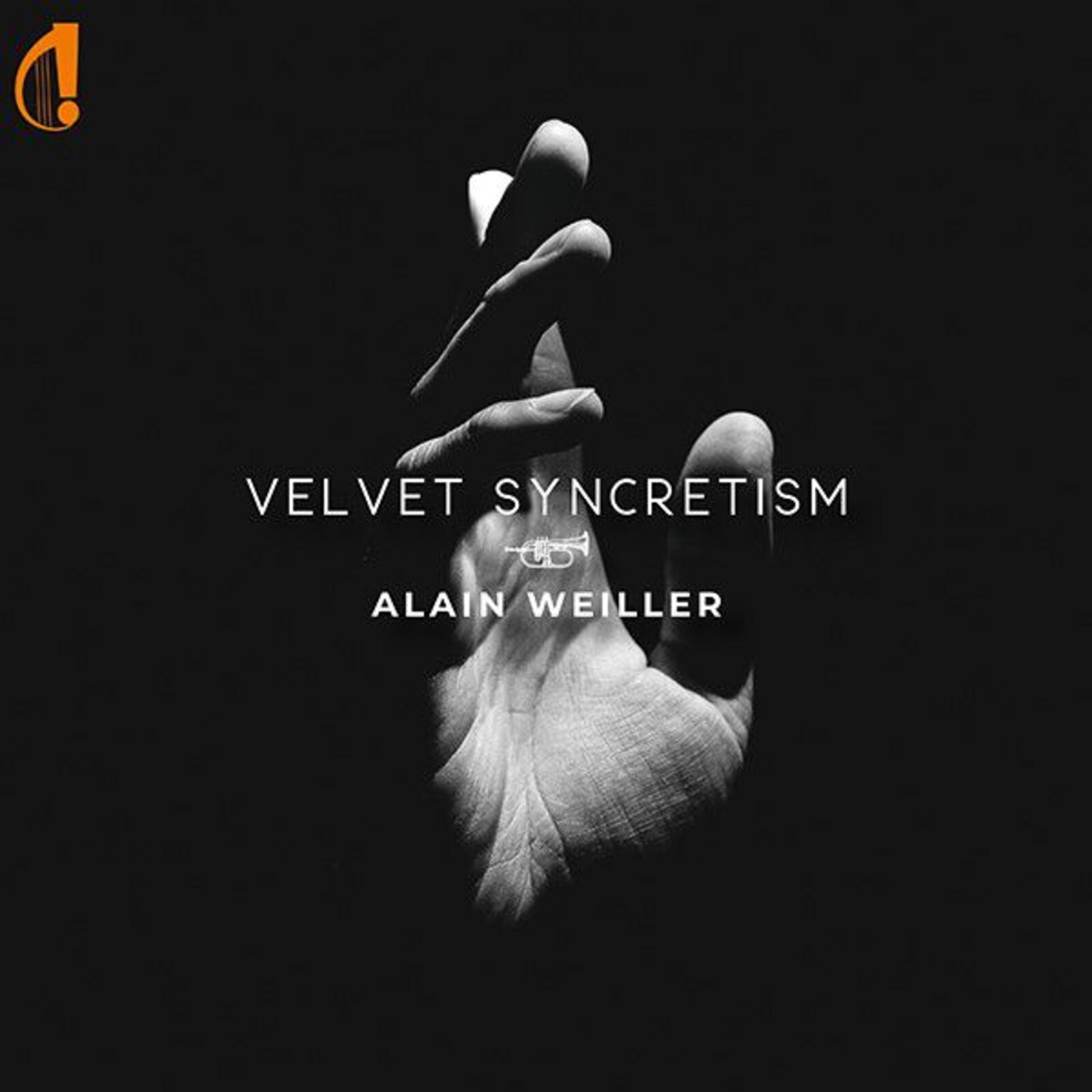 Picture of Alain Weiller - Velvet Syncretism