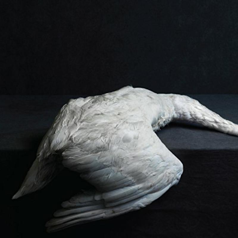 Picture of Amenra - Mass VI