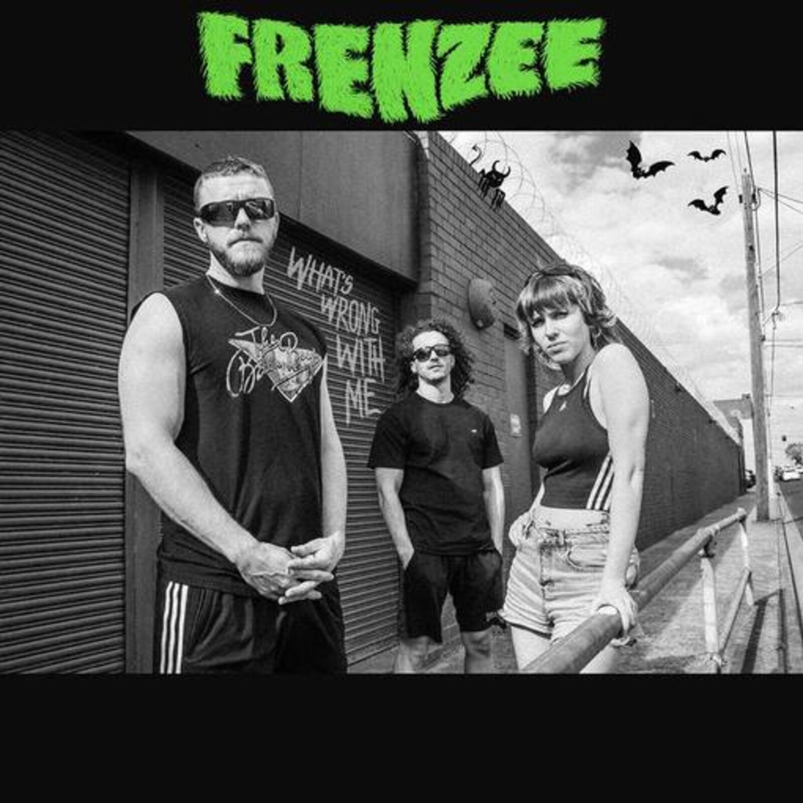 Picture of Frenzee - What's Wrong With Me