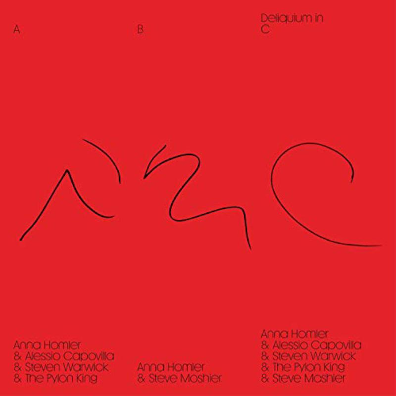 Picture of Anna Homler - Deliquium in C