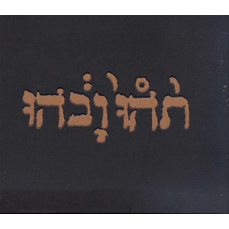 Picture of Godspeed You Black Emperor - Slow Riot For New Zero Kanada