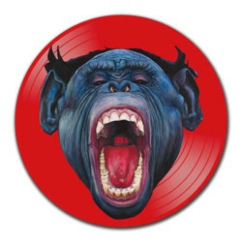 Picture of Puscifer - V Is For Viagra - The Remixes Picture Disc