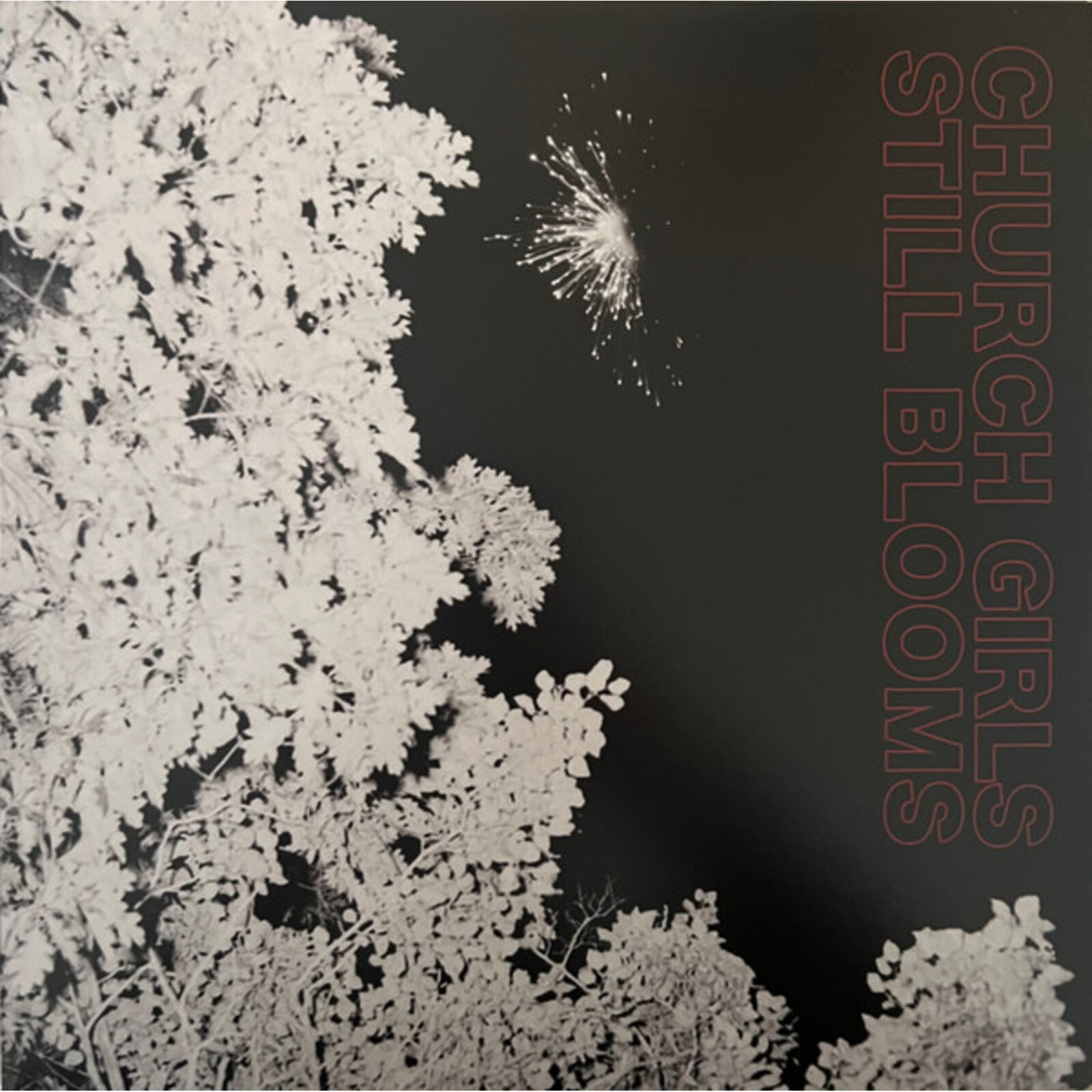 Picture of Church Girls - Still Blooms