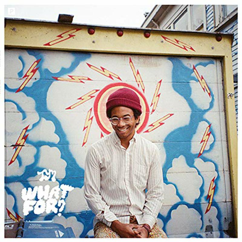 Picture of Toro Y Moi - What For