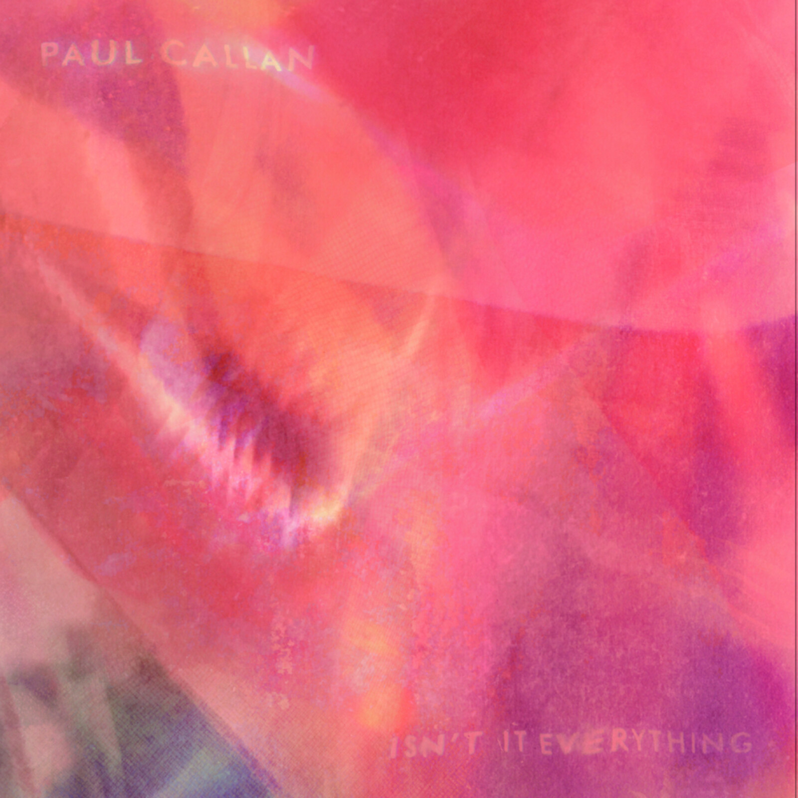 Picture of Paul Callan - Isn't It Everything