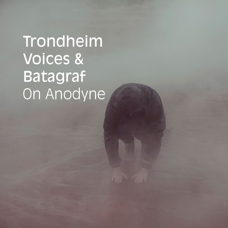 Picture of Trondheim Voices & Batagraf - On Anodyne