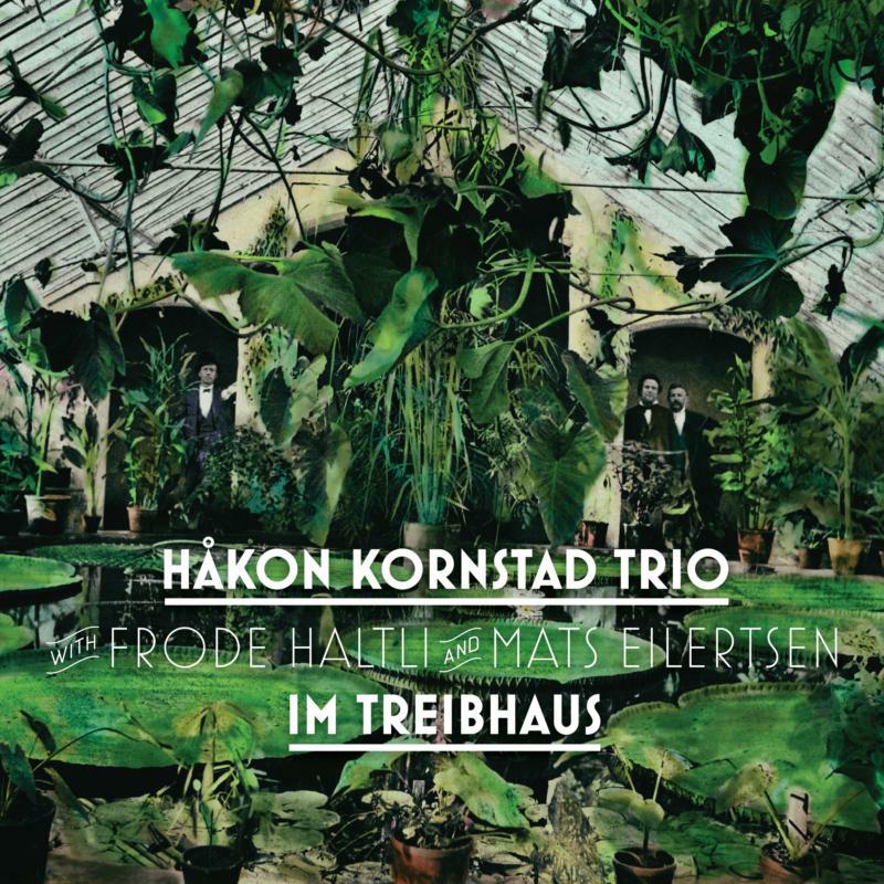 Picture of Hakon Kornstad Trio, Frode Haltil & Mats Eilertsen - Im Treibhaus