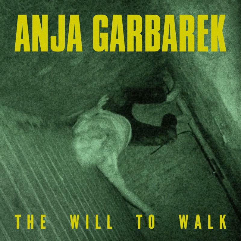 Picture of Anja Garbarek - The Will To Walk (10)