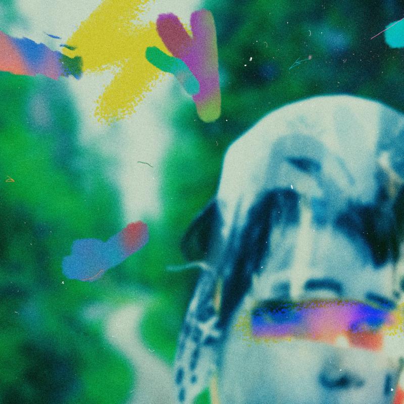 Picture of Team Me - Something In The Making