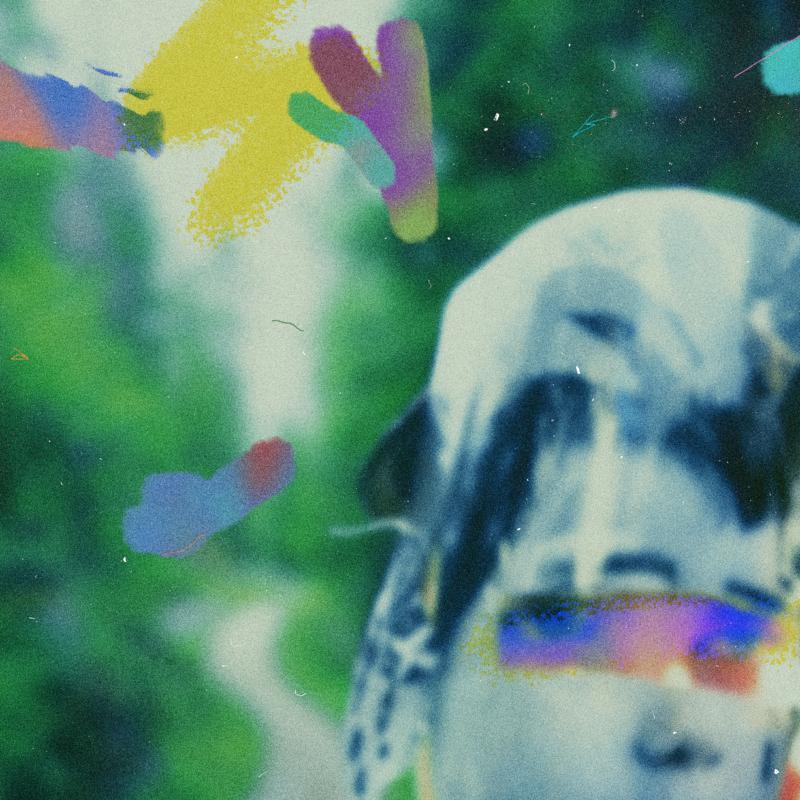 Picture of Team Me - Something In The Making