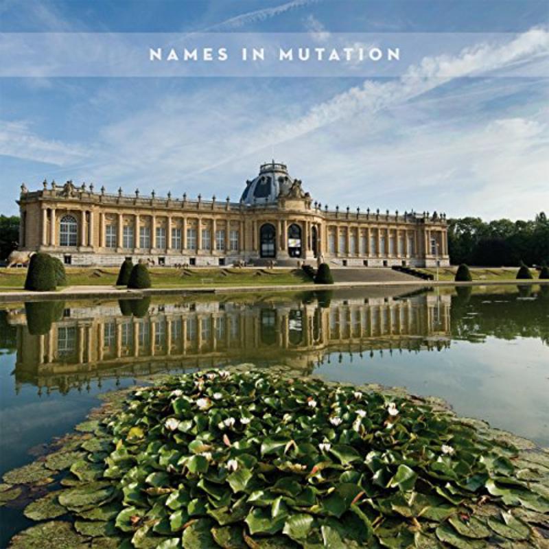 Picture of The Names - In Mutation