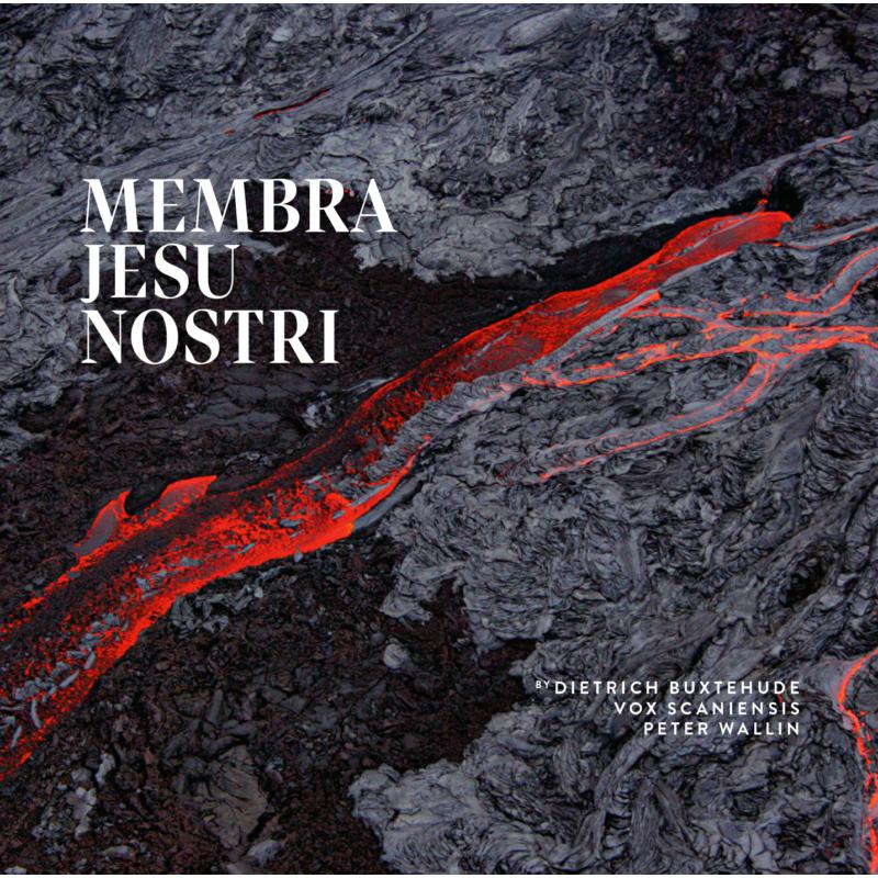 Picture of Vox Scaniensis - Buxtehude: Membra Jesu Nostri