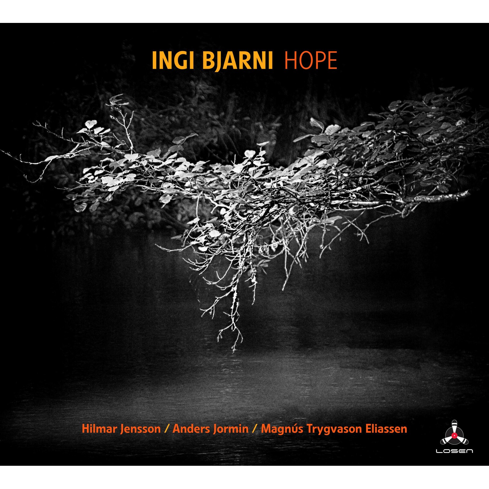 Picture of Ingi Bjarni - Hope