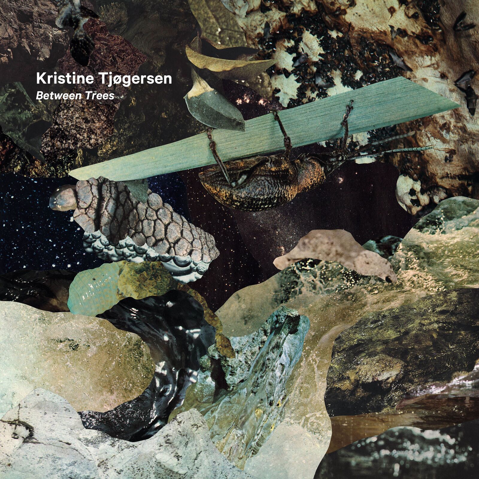 Picture of Kristine Tjogersen - Between Trees