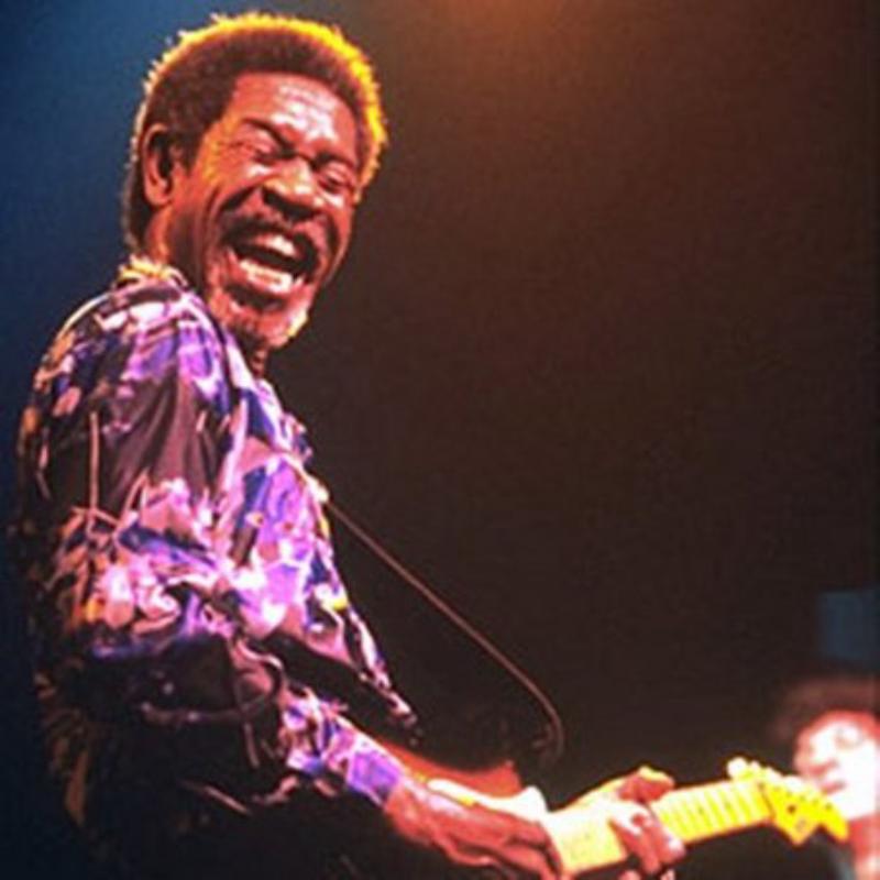 Picture of Luther Allison - Live In Chicago