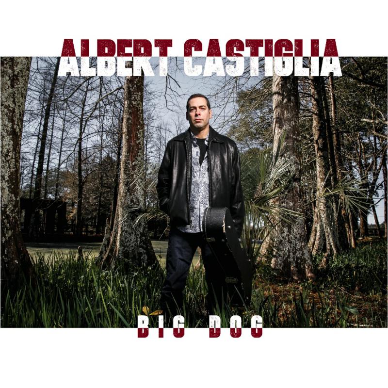 Picture of Albert Castiglia - Big Dog