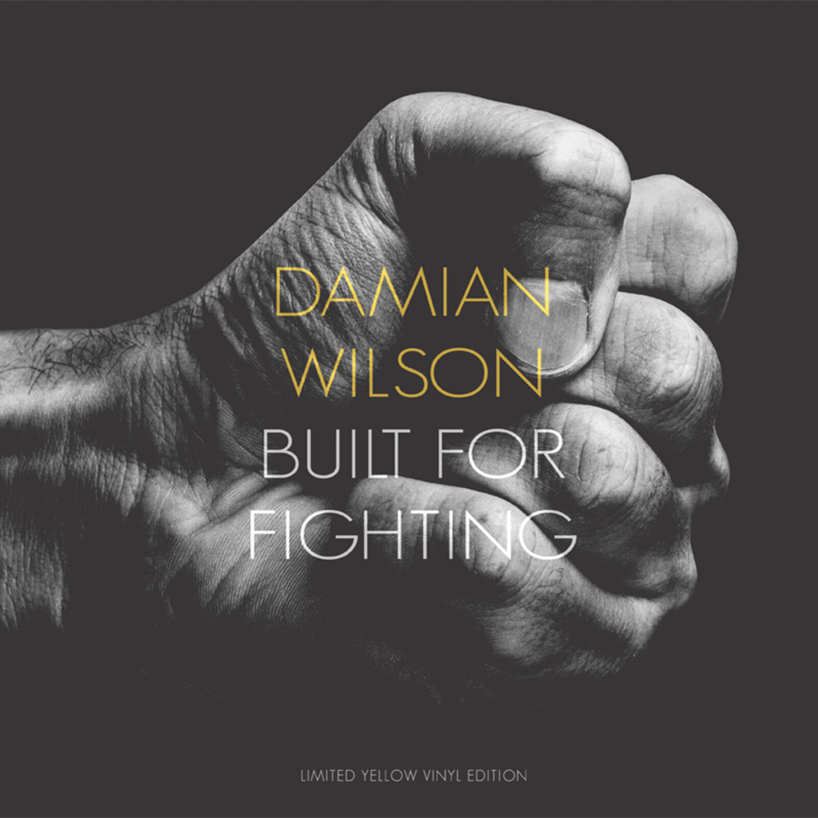 Picture of Damian Wilson - Built For Fighting