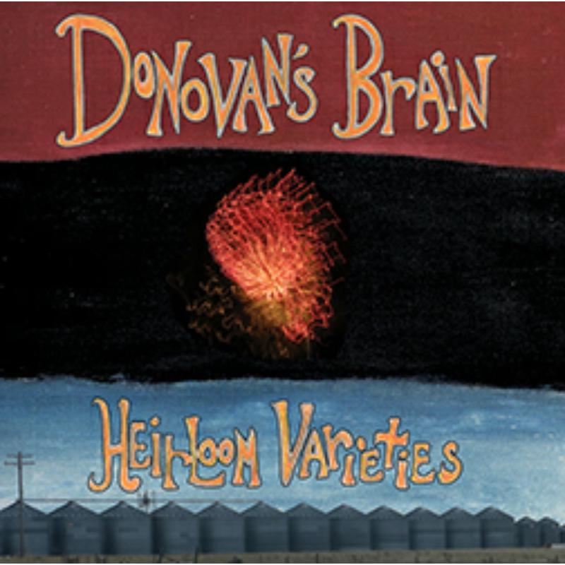 Picture of Donovan's Brain - Heirloom Varieties