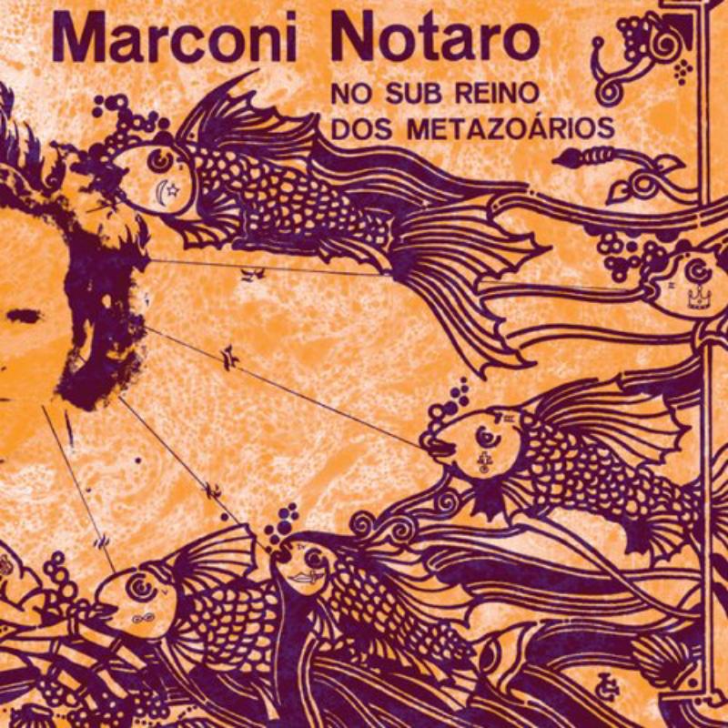 Picture of Marconi Notaro - No Sub Reino Dos Metazoarios