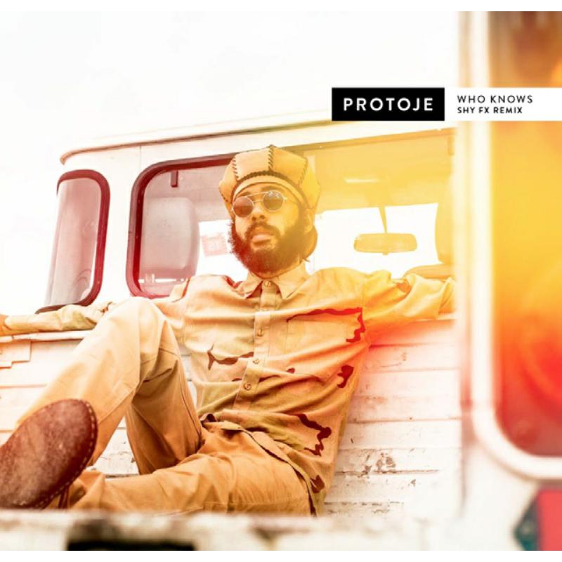 Picture of Protoje - Who Knows (Shy FX Remix)