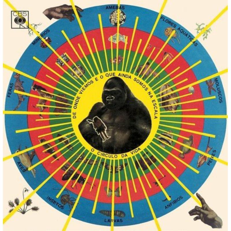 Picture of Pedro Santos - Krishnanda