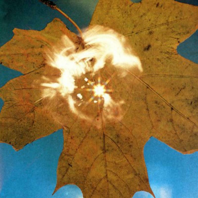 Picture of SOYUZ - Force of the Wind