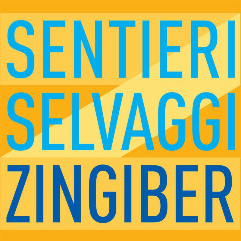 Picture of Sentieri Selvaggi - VARIOUS:ZINGIBER