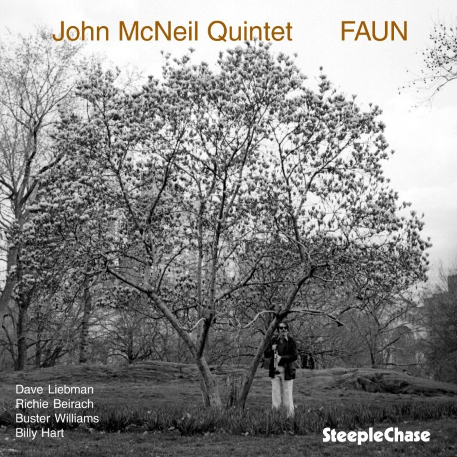 Picture of John McNeil - Faun