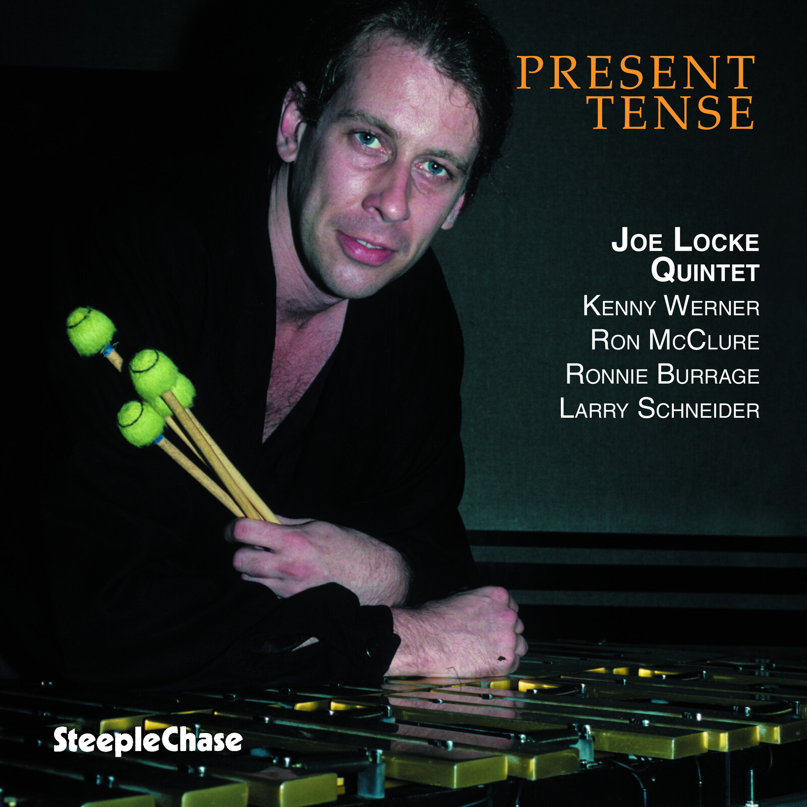 Picture of Joe Locke Quintet - Present Tense