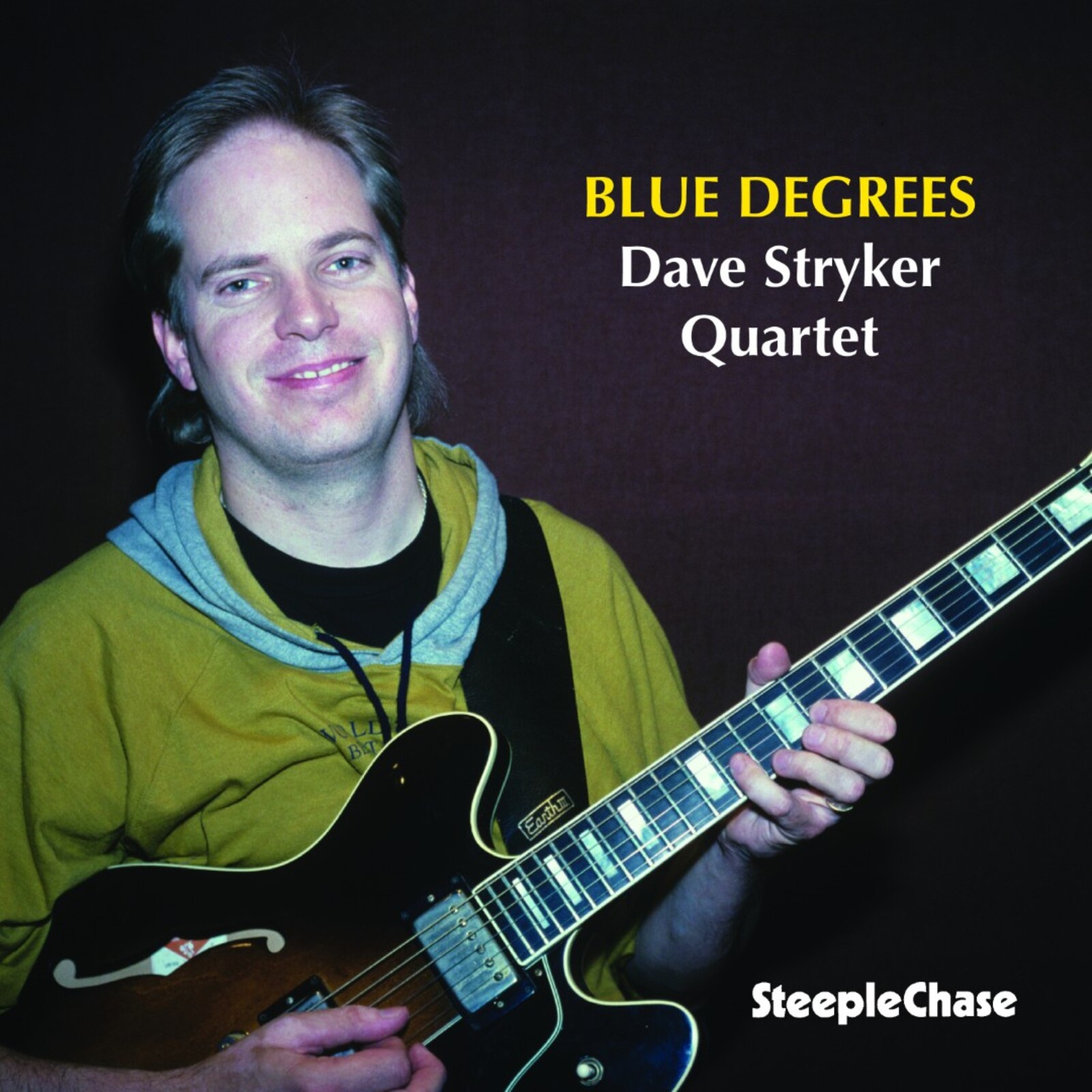 Picture of Dave Stryker Quartet - Blue Degrees