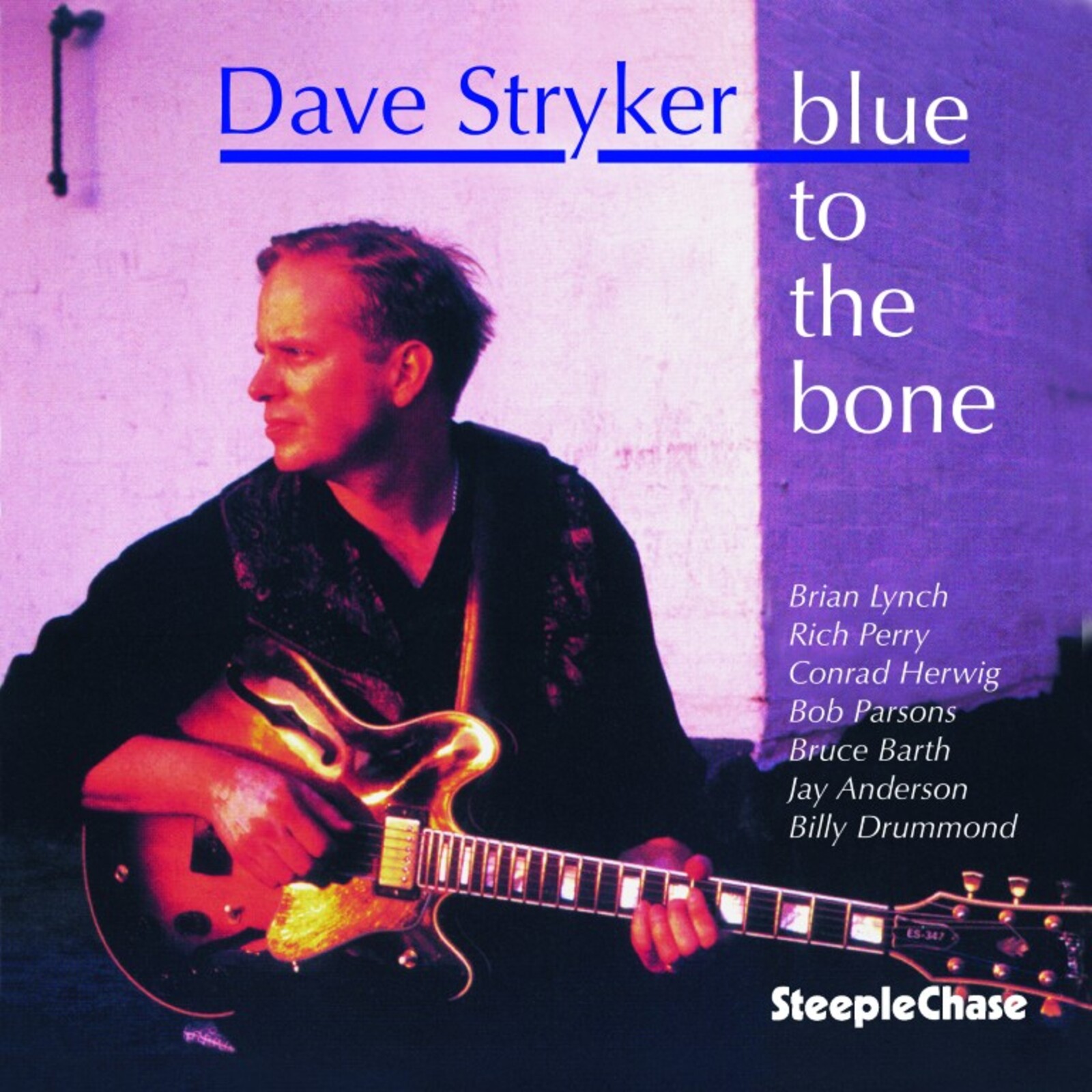 Picture of Dave Stryker - Blue to the Bone