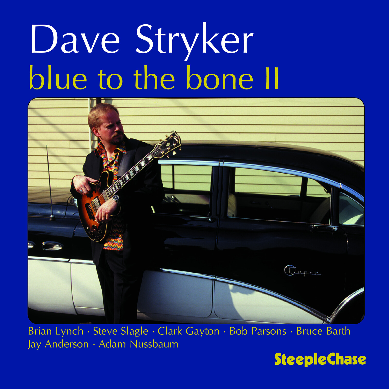 Picture of Dave Stryker - Blue To The Bone