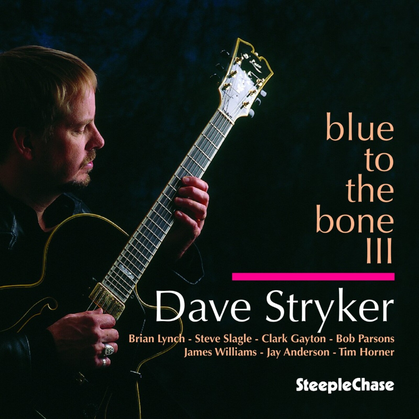 Picture of Dave Stryker - Blue To The Bone III