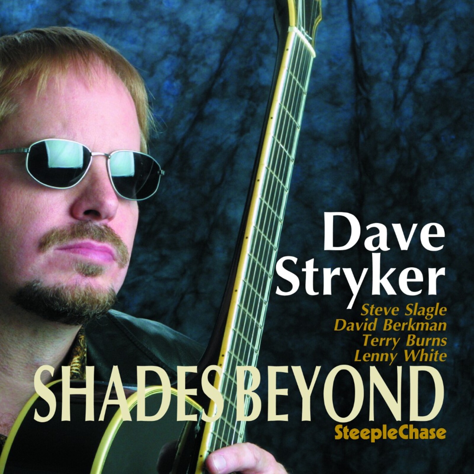 Picture of Dave Stryker - Shades Beyond