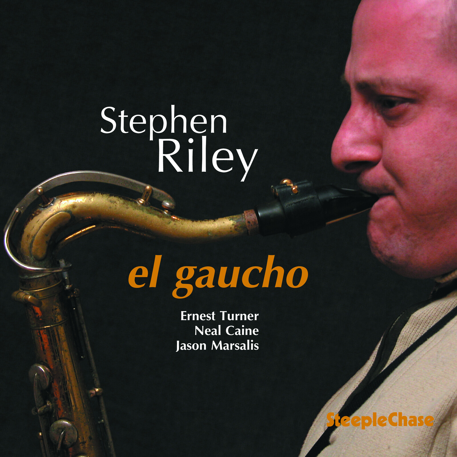 Picture of Stephen Riley - El Gaucho