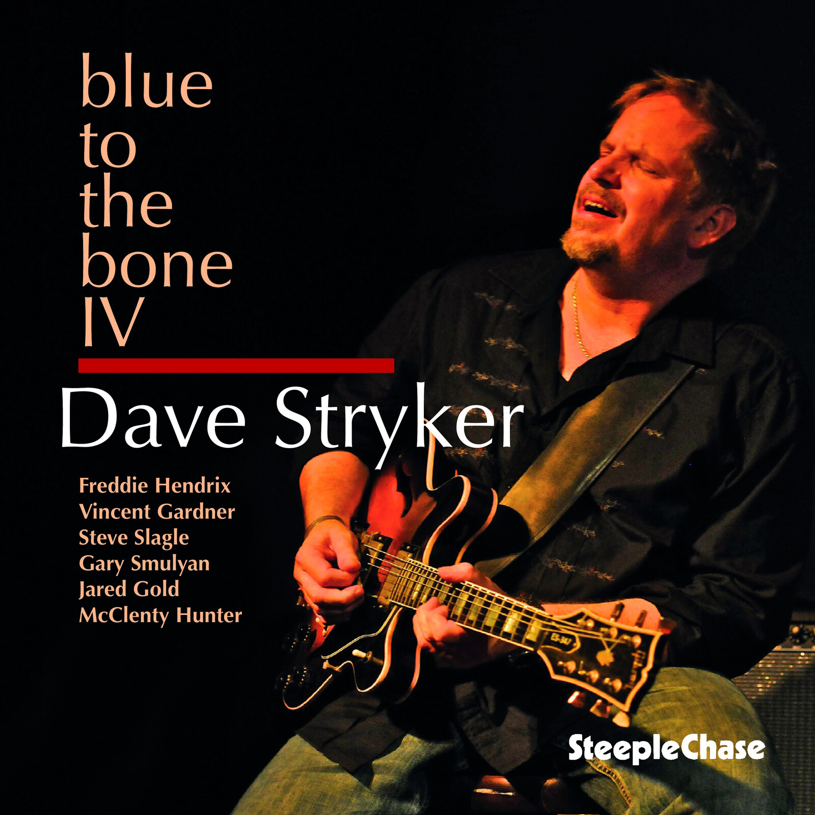Picture of Dave Stryker - Blue to the Bone IV