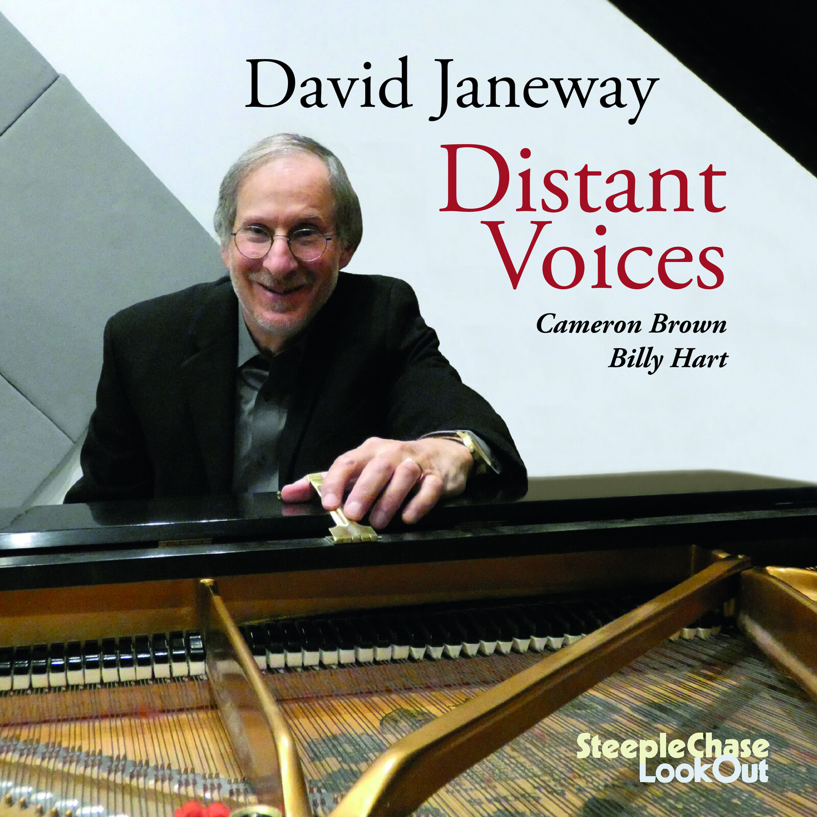 Picture of David Janeway - Distant Voices