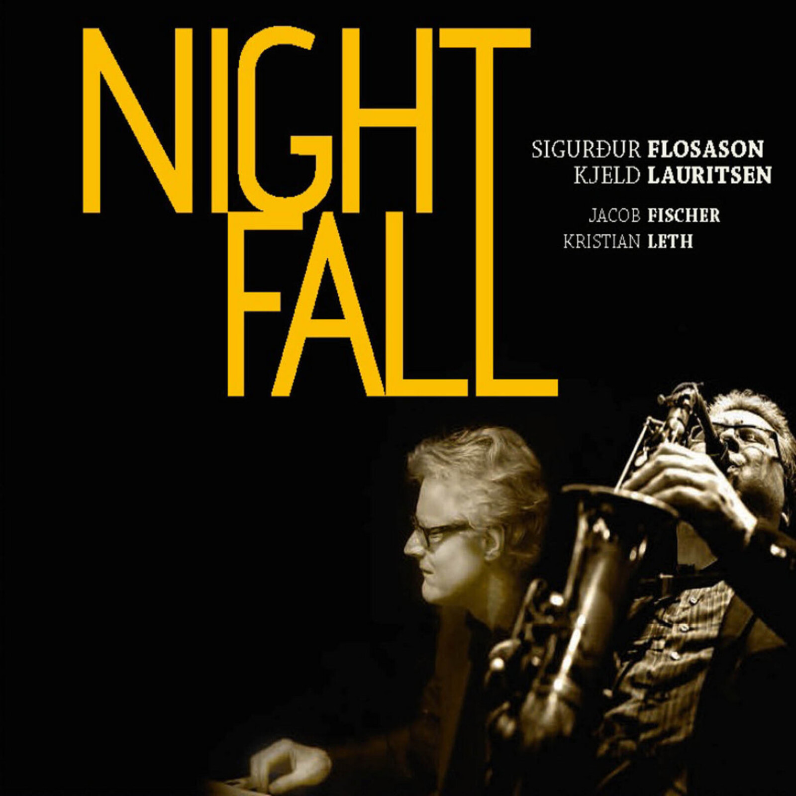 Picture of Kjeld Lauritsen-Sigurdur Flosason - Night Fall