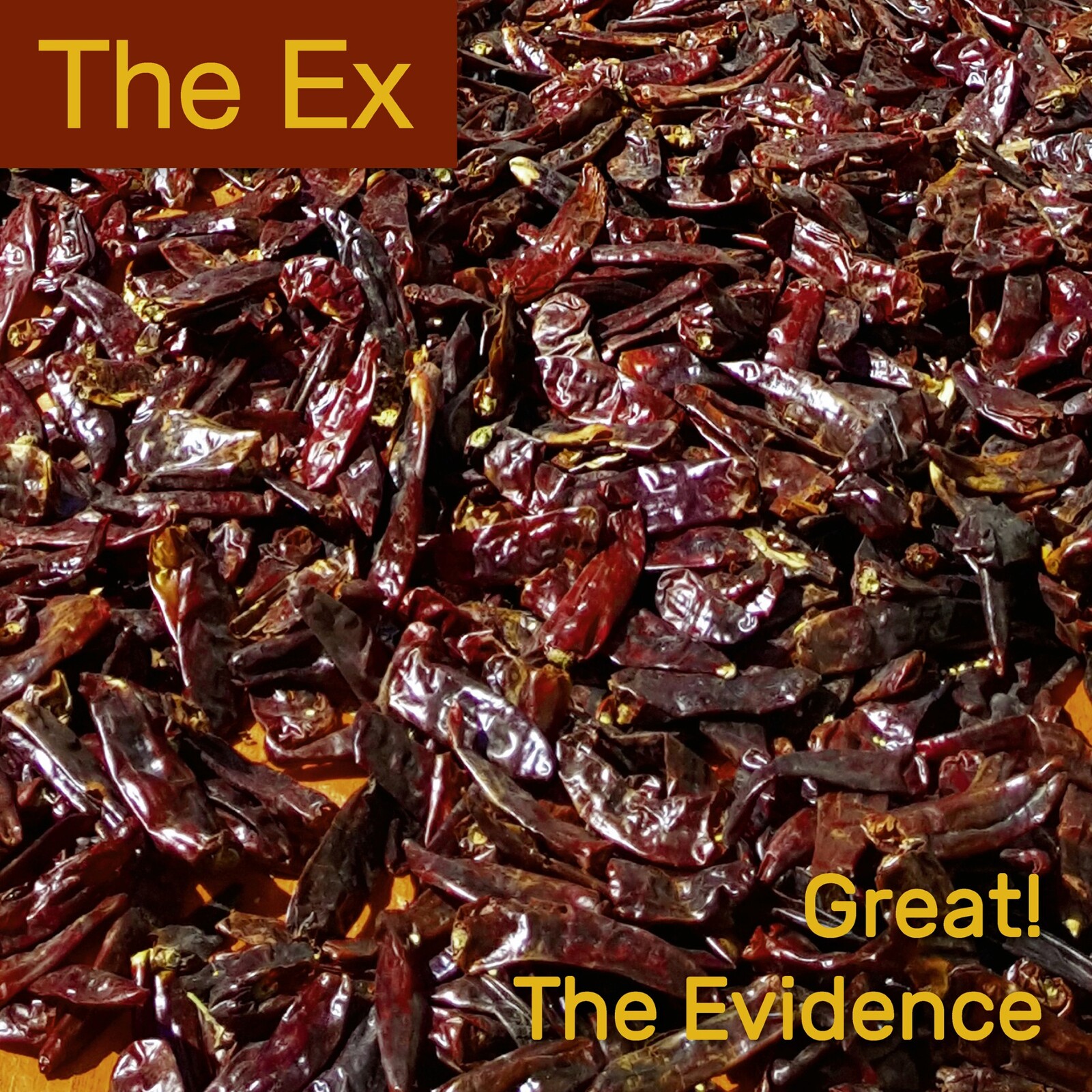Picture of The Ex - Great! / The Evidence